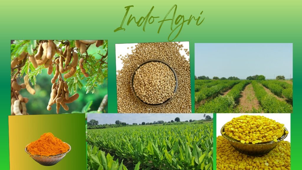 indoagri